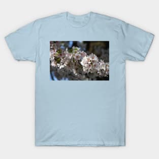 Cherry Blossoms T-Shirt